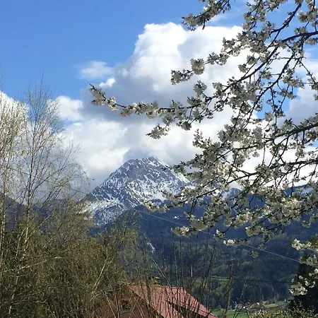 Gasthof Karawanken 3*