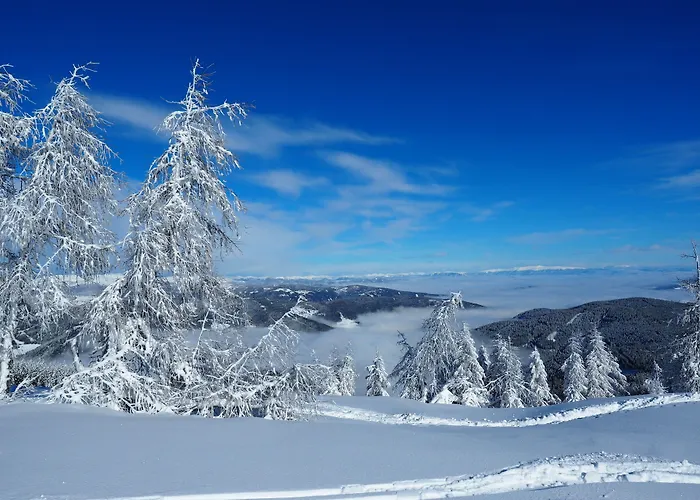 Aktiv-appartements Karawanken Guest house